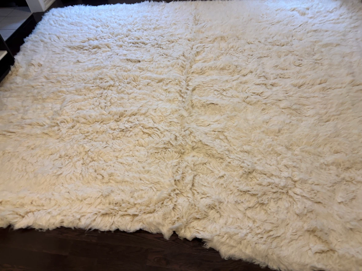 Cream Shaggy Area Rug-9Ft by 12Ft - photo 2