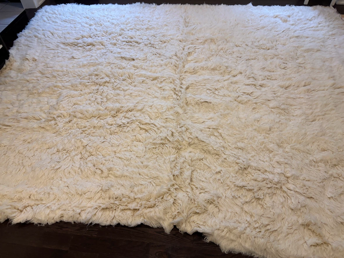 Cream Shaggy Area Rug-9Ft by 12Ft - photo 3