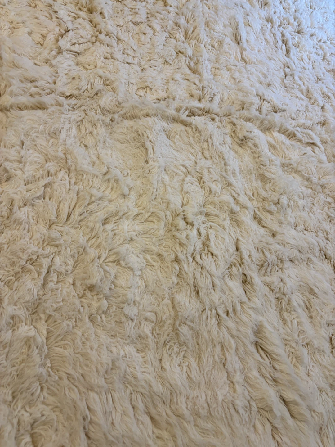 Cream Shaggy Area Rug-9Ft by 12Ft - photo 4