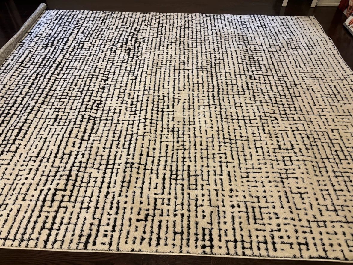 Modern Area Rug - Black and Cream- 7 by 10 - photo 3