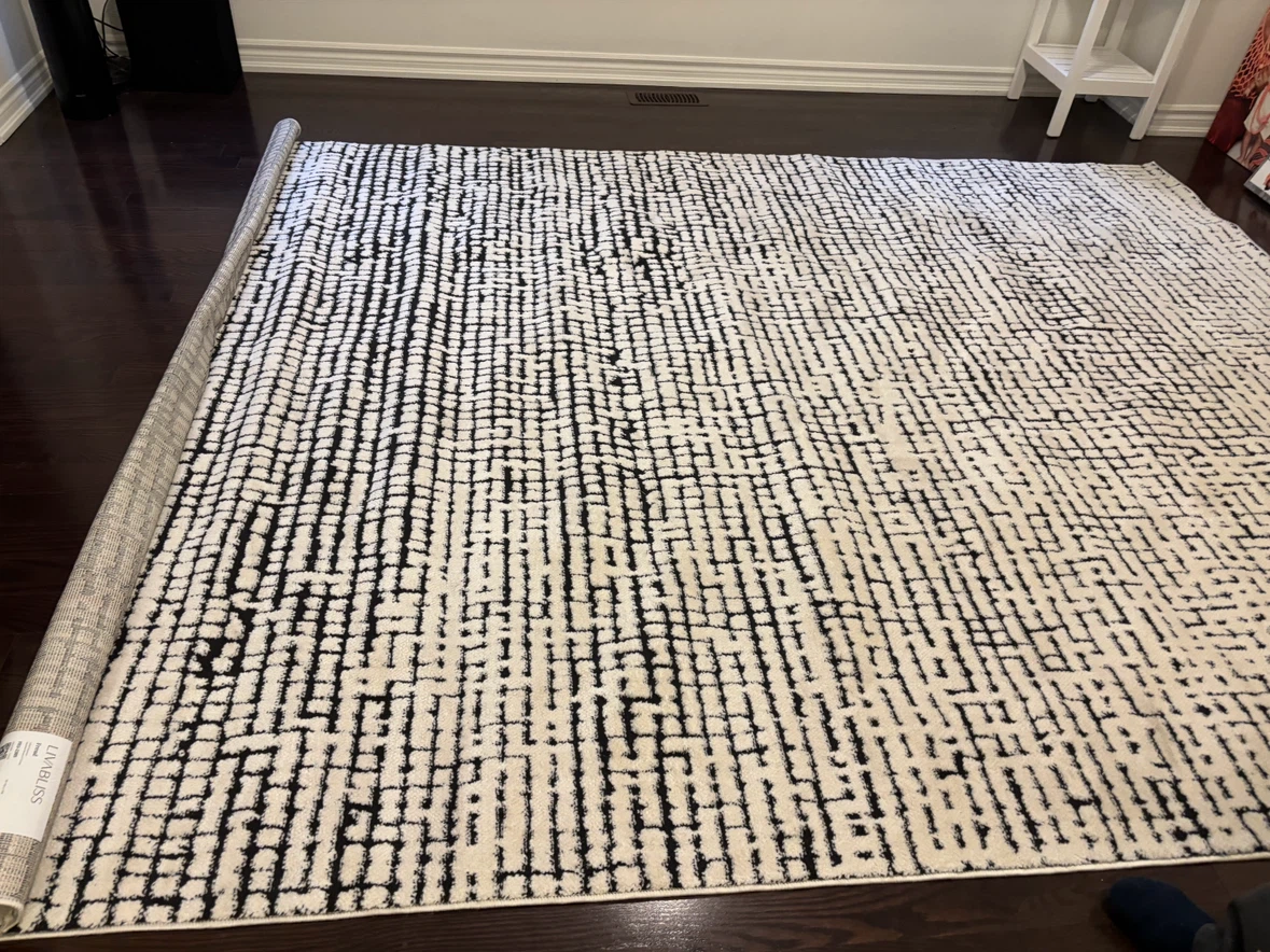 Modern Area Rug - Black and Cream- 7 by 10 - photo 4