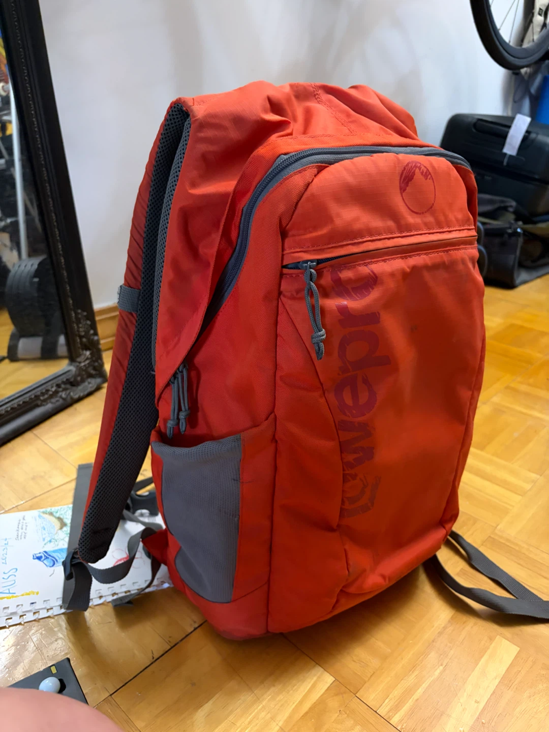 Lowepro Orange Backpack