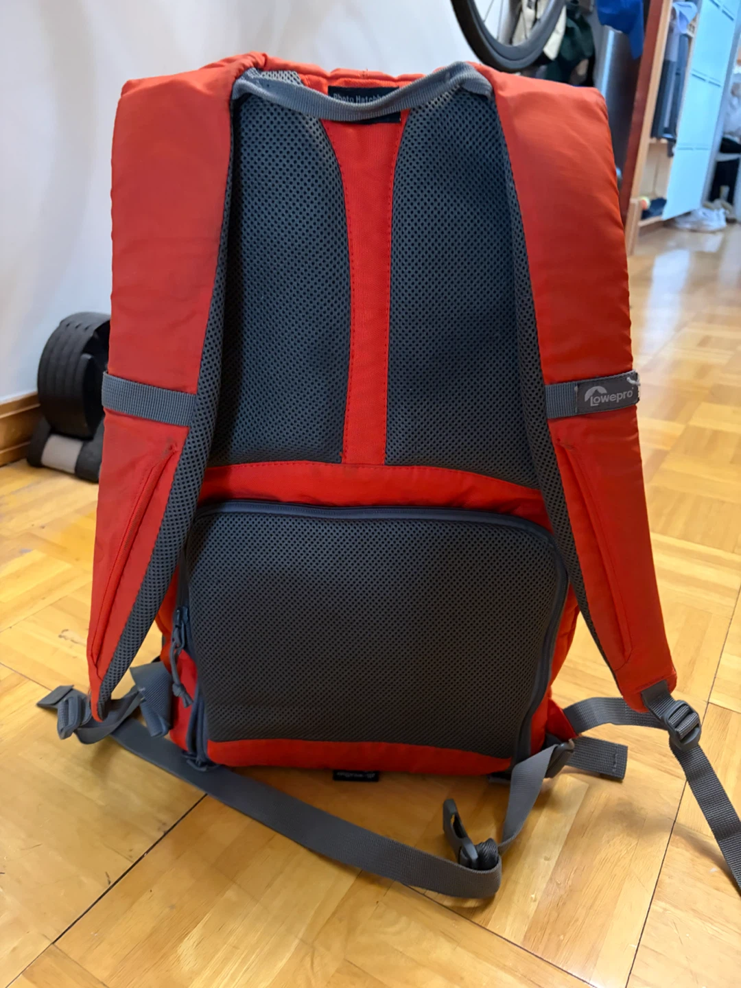 Lowepro Orange Backpack - photo 2