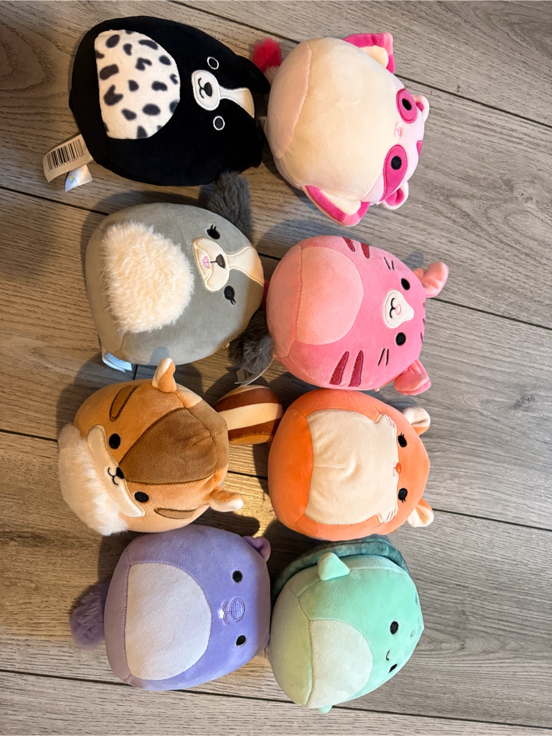 Squishmallows Plush Toys