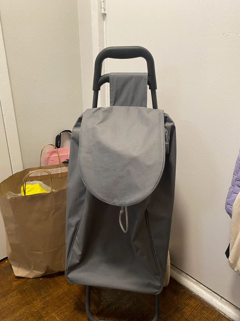 Grey Rolling Shopping Cart