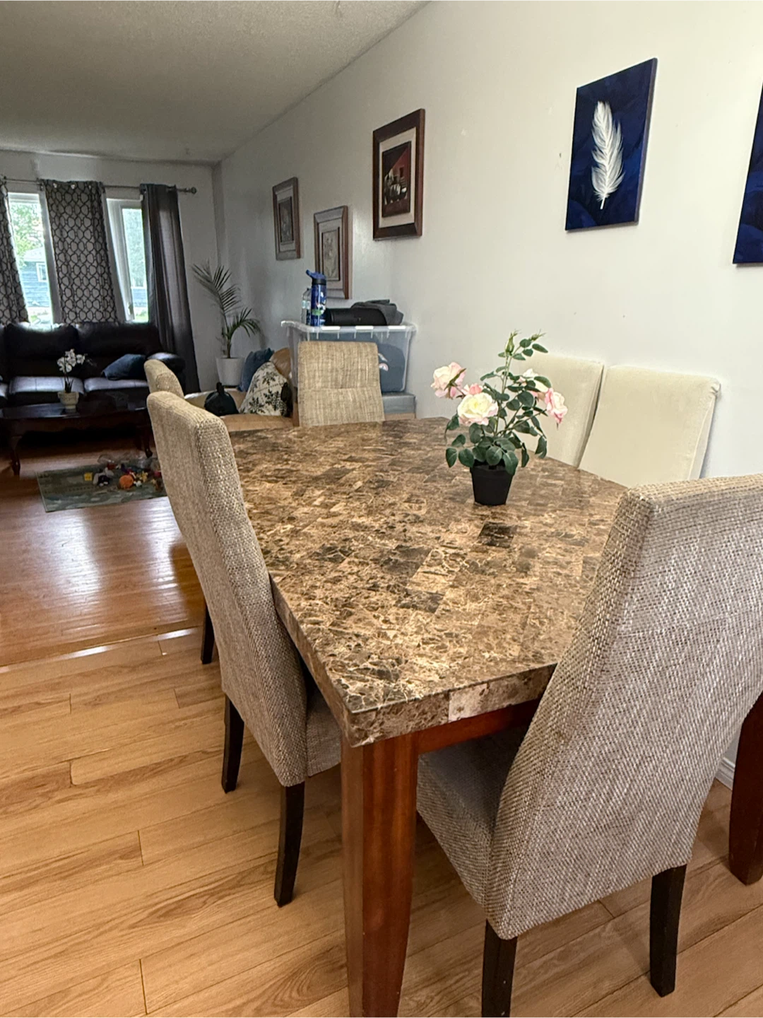 Dining Table Set with 6chairs