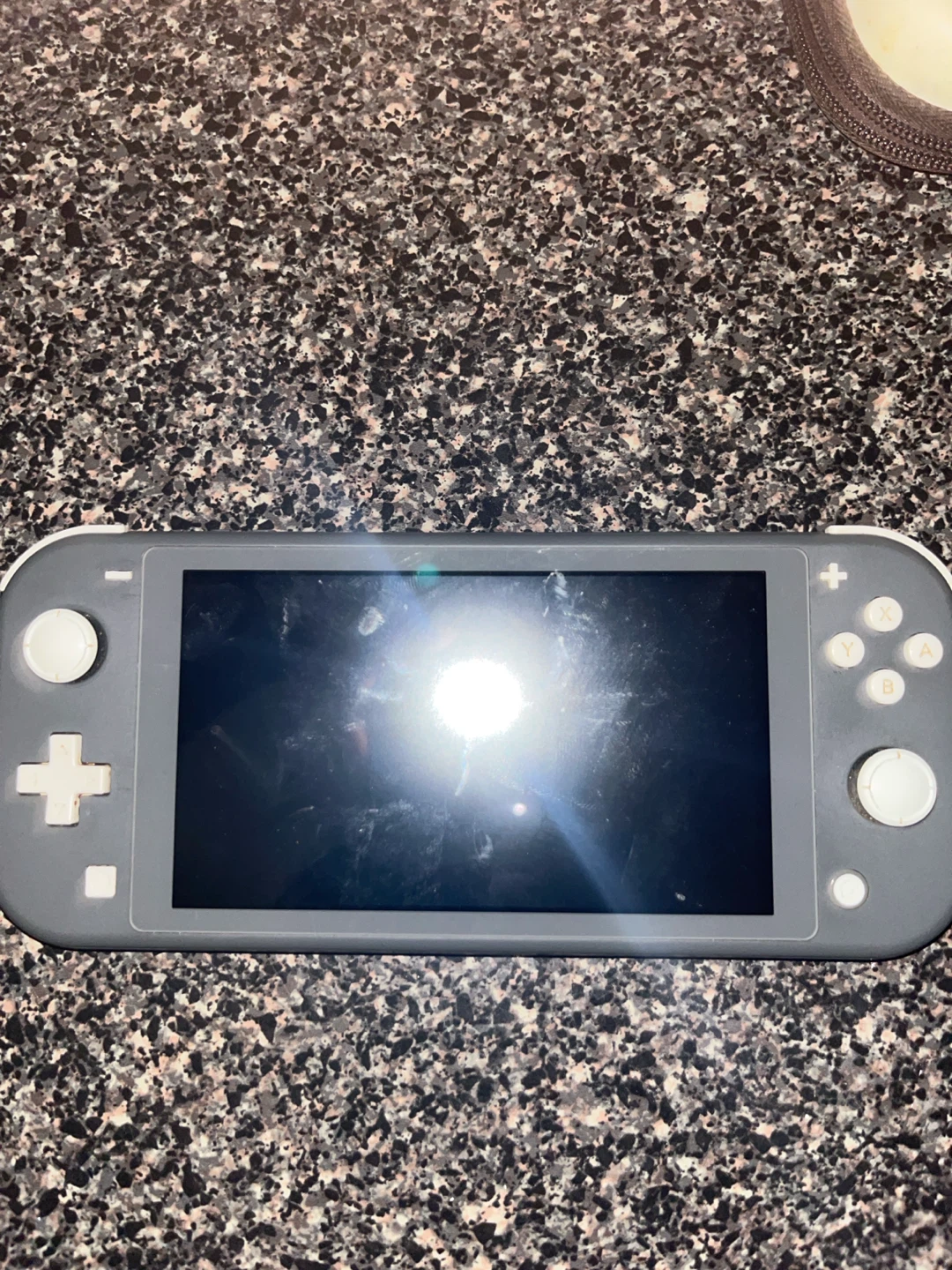 Nintendo Switch Lite Gray