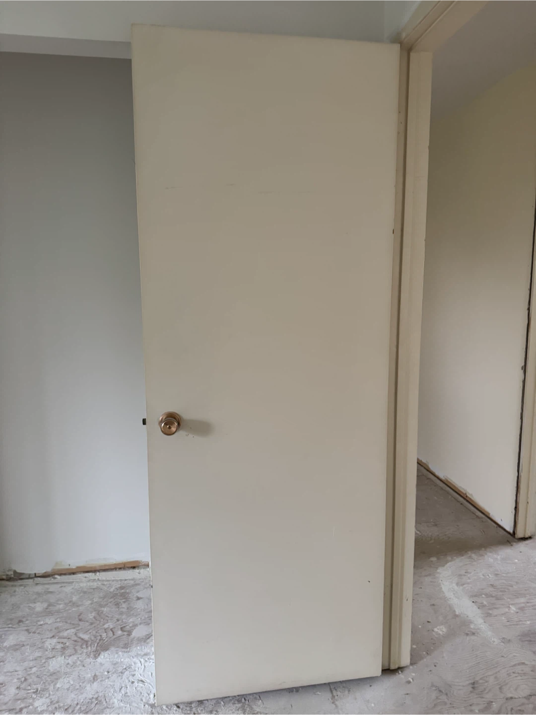 Door with Brass Knob