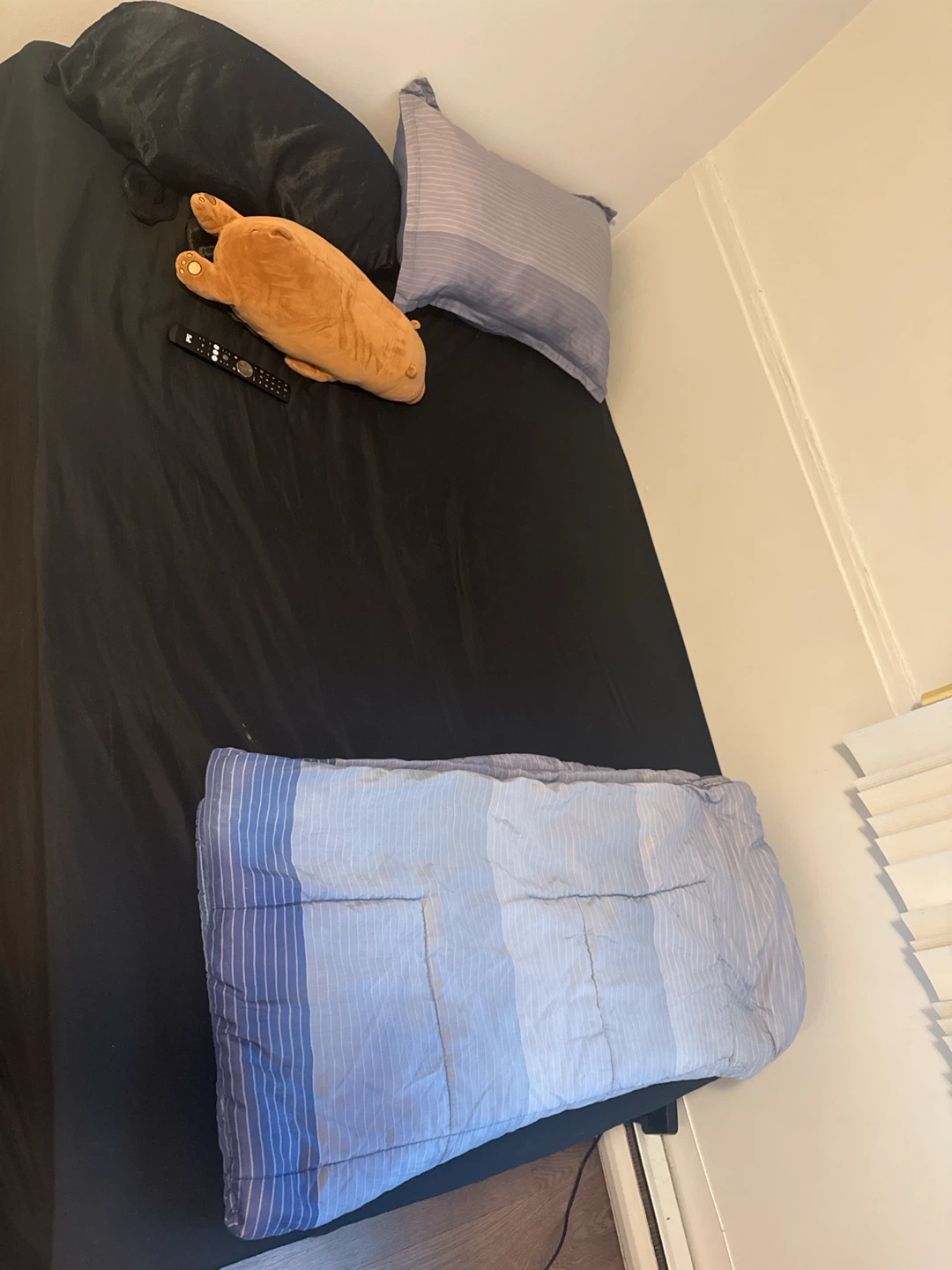 Twin Bed Frame + mattress
