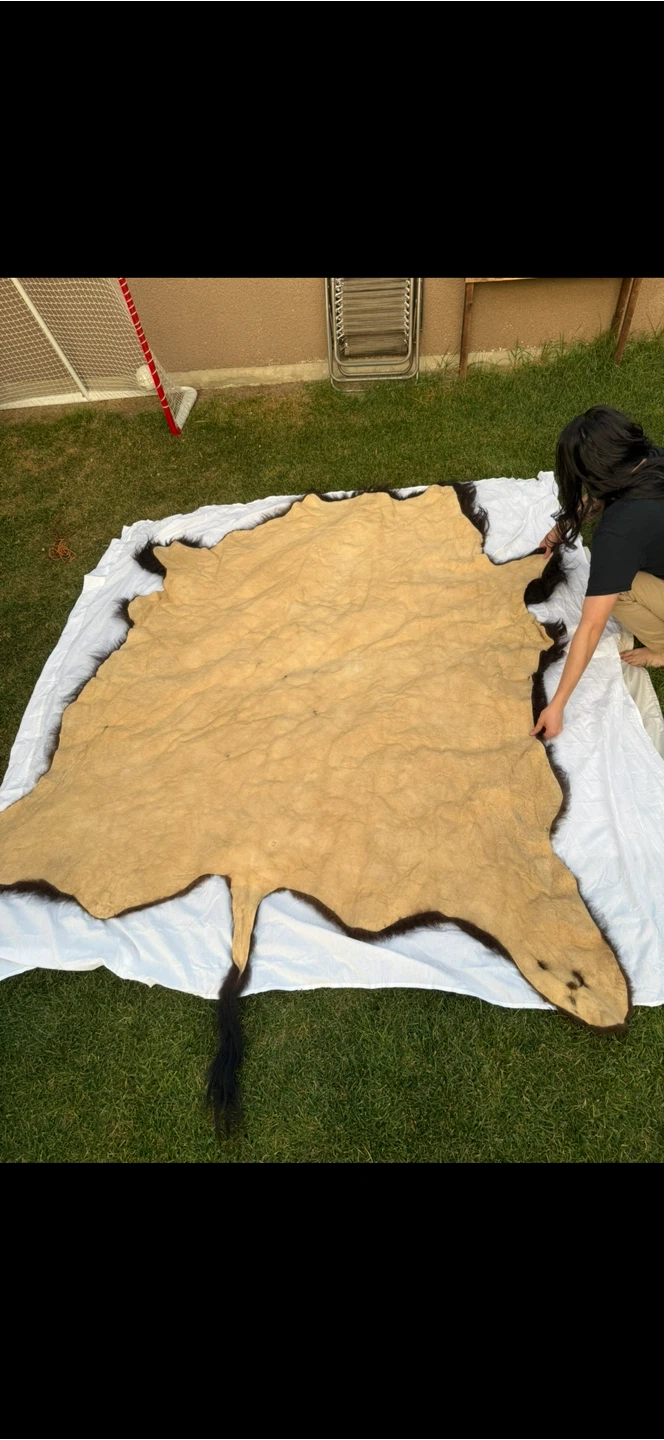 Buffalo Hide