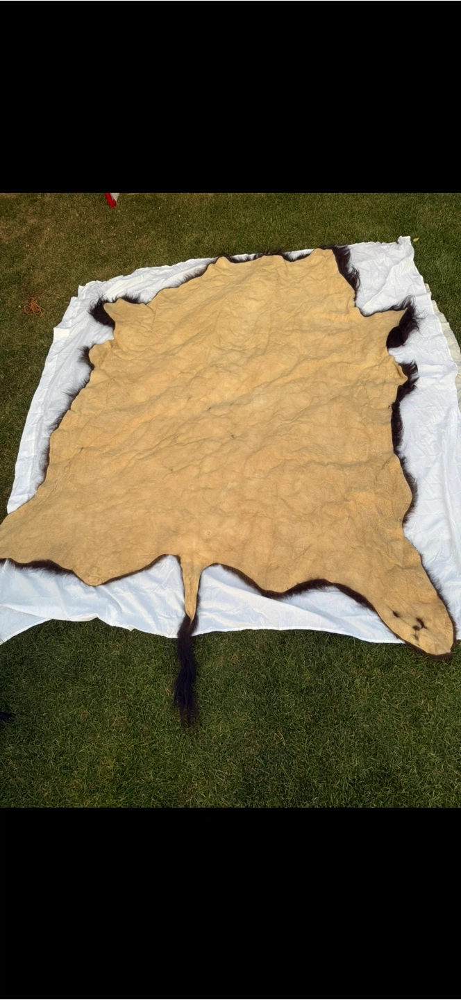 Buffalo Hide - photo 3