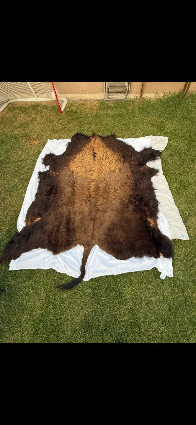 Buffalo Hide - photo 4