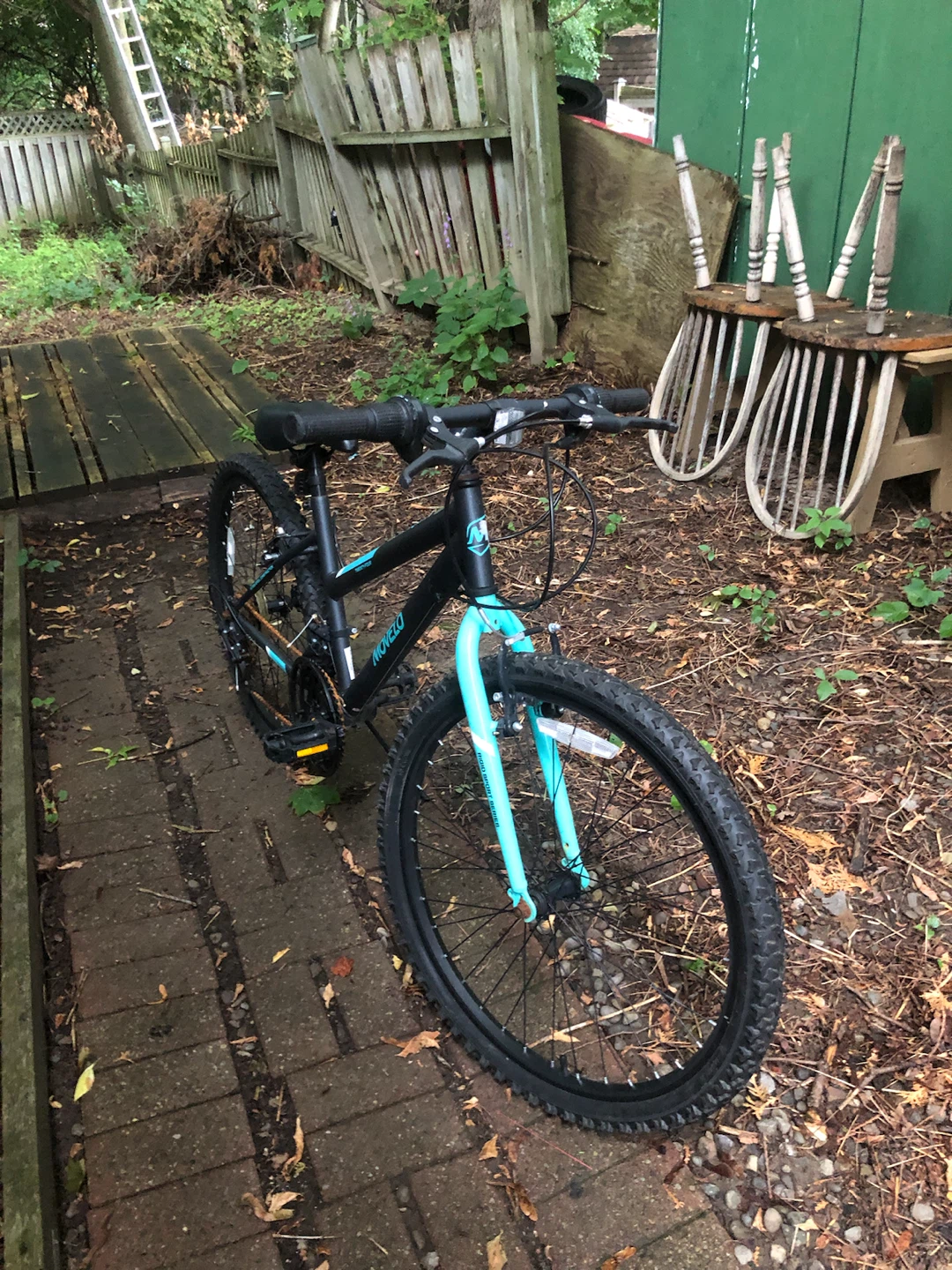 Movelo twenty four mountain bike