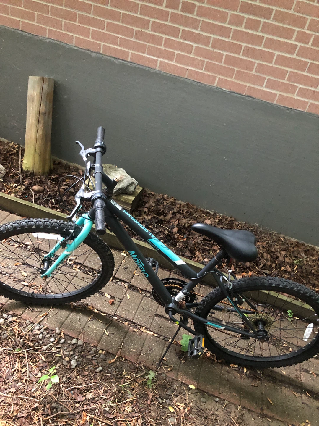 Movelo twenty four mountain bike - photo 4