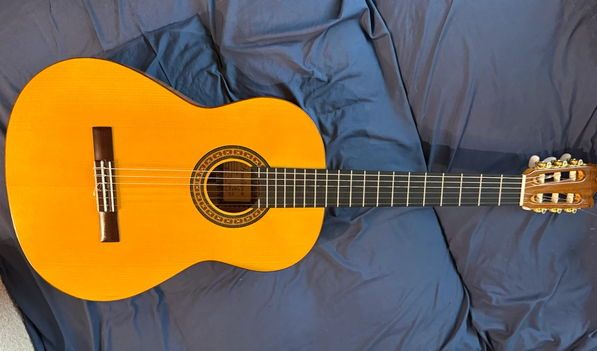 Flamenco Guitar in Case