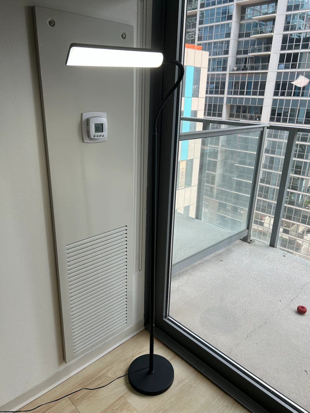 Black Floor Lamp with LED Light