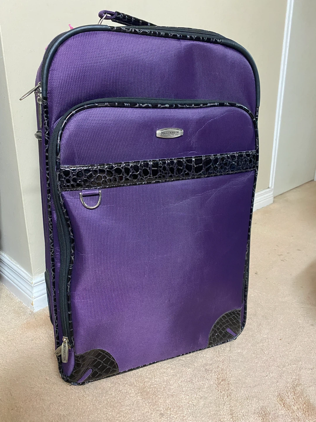 Luggage bag (excellent condition)