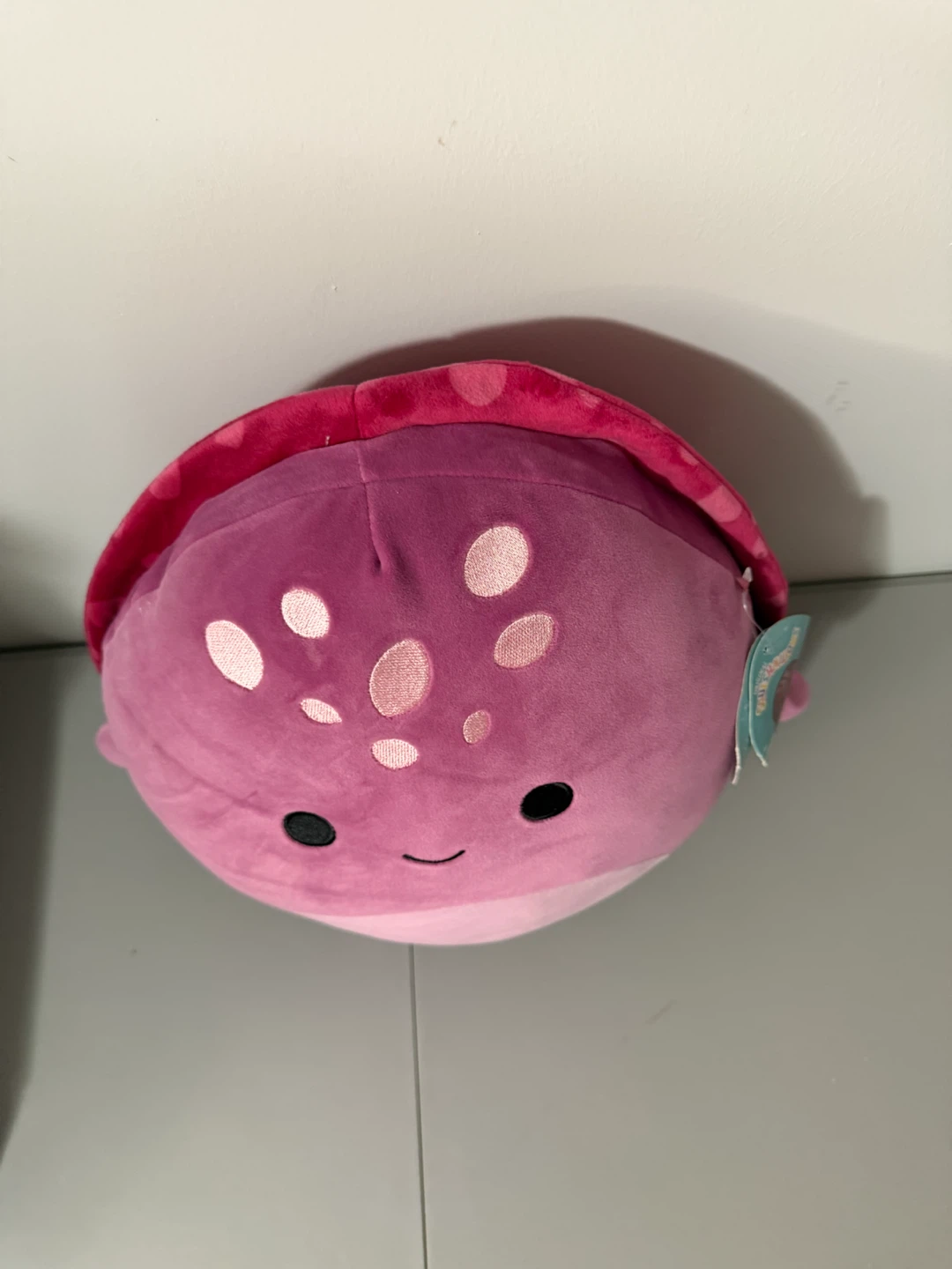 Squishmallow Tudor Magenta Sea Turtle 12" NWT (Sealife Squad) - photo 4