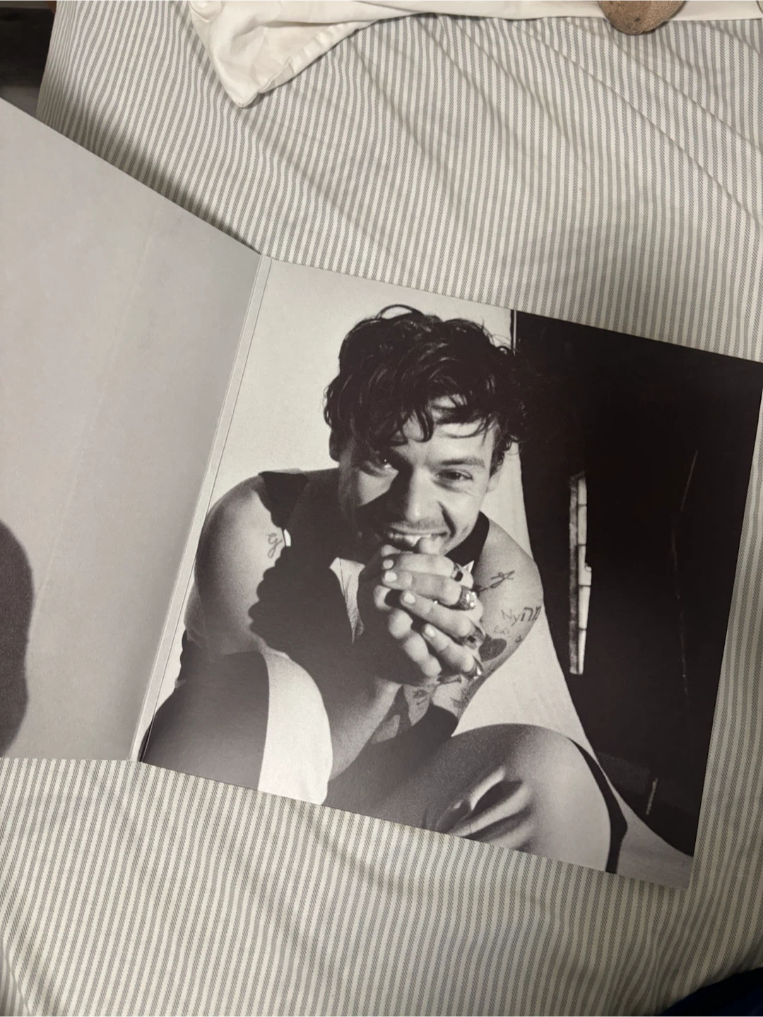 Harry Styles Vinyl - Harry’s House - photo 2
