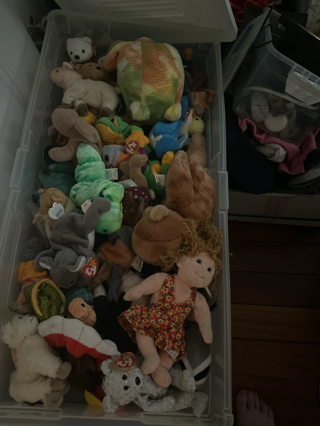 Collection of Ty Beanie Babies Stuffed Animals
