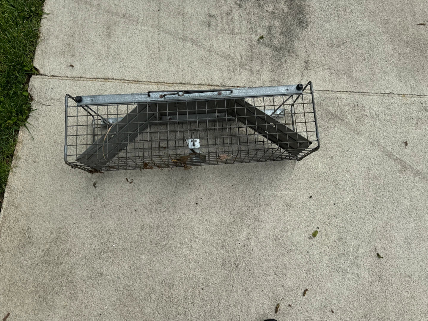 Metal Cage Animal Trap