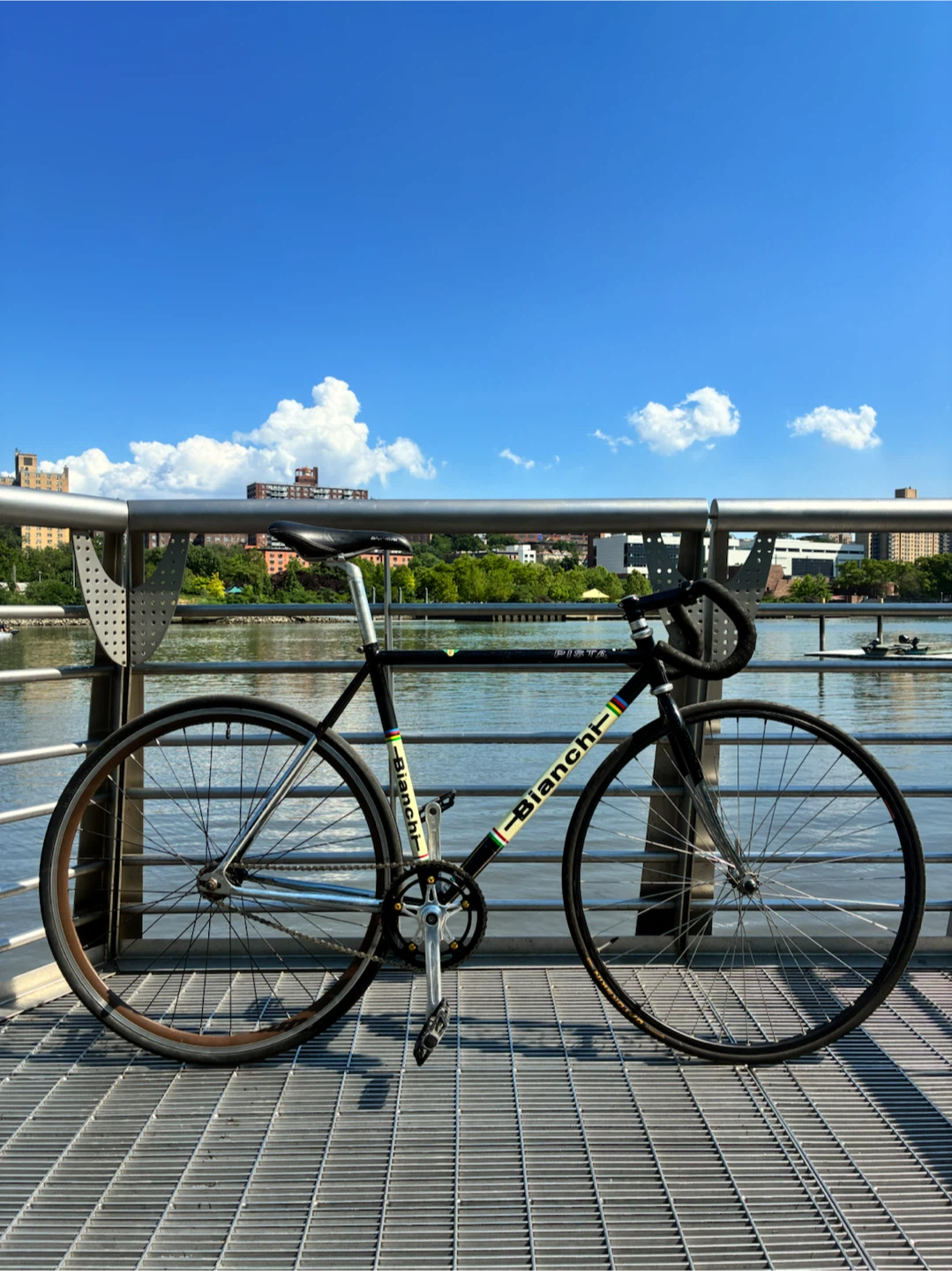 Bianchi Pista 52cm