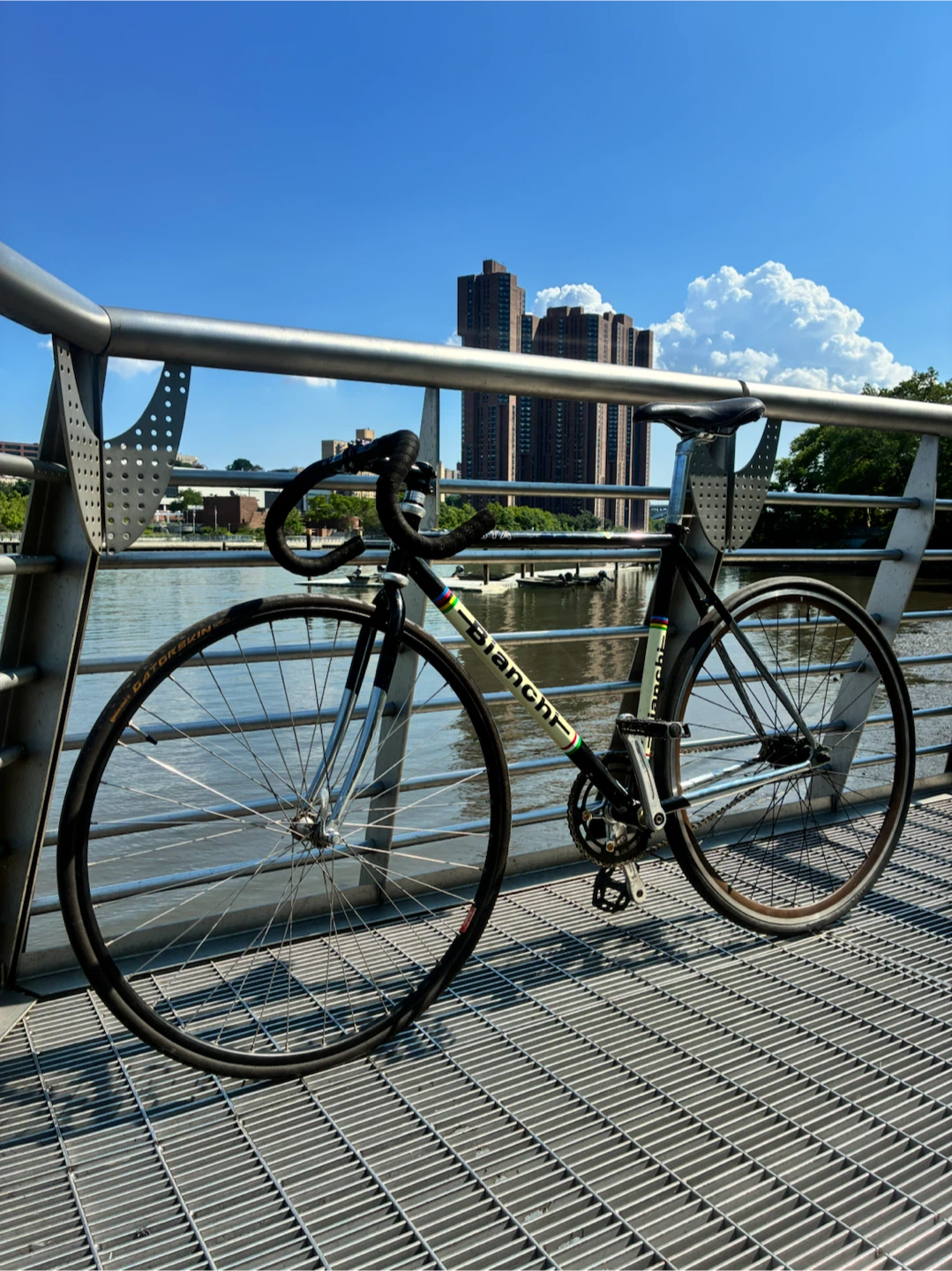 Bianchi Pista 52cm - photo 3