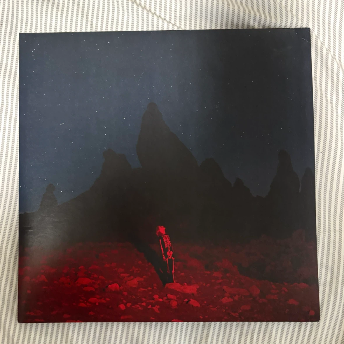 Phoebe Bridgers Vinyl - Punisher