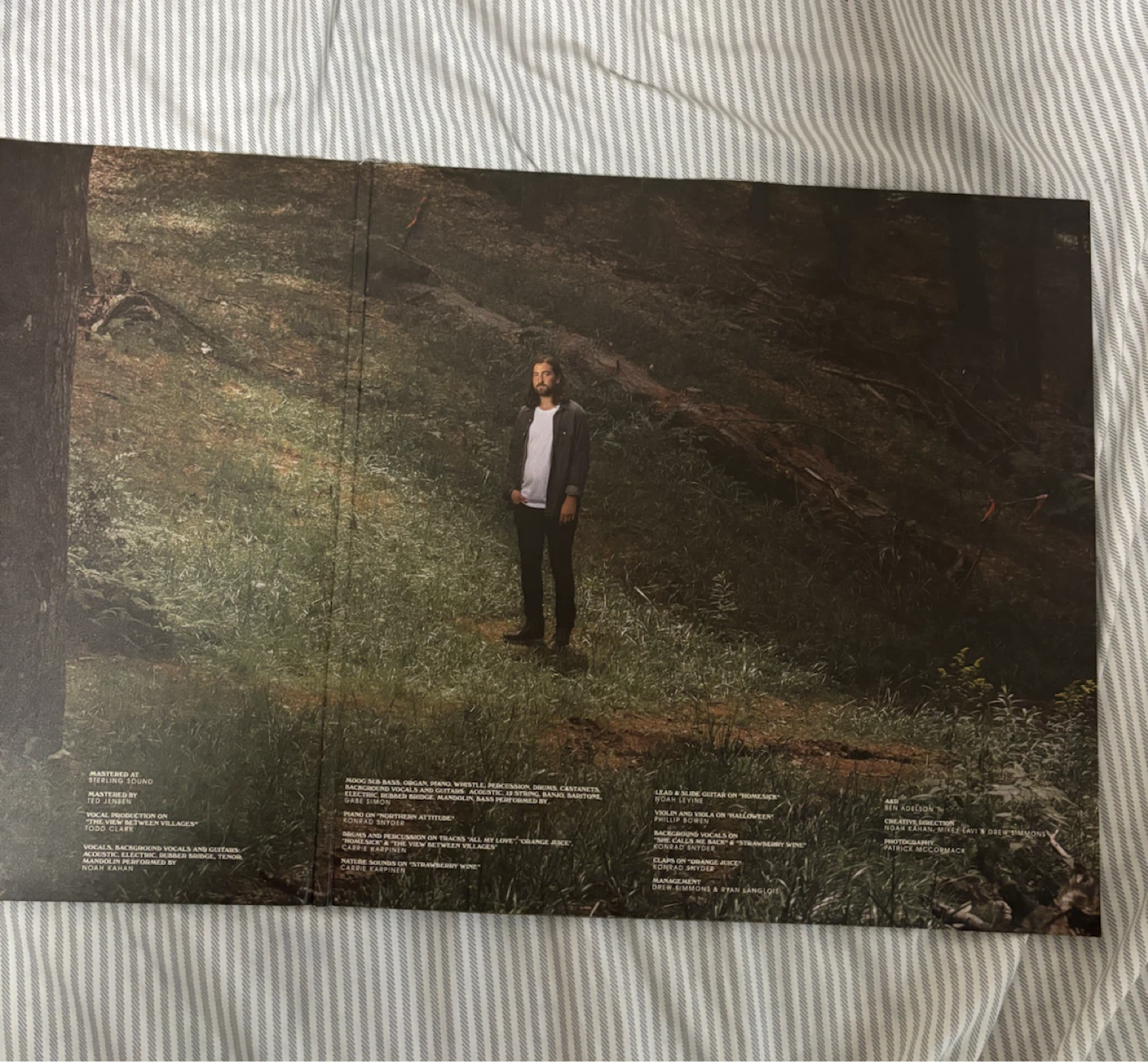 Noah Kahan Vinyl & Poster - Stick Season - photo 2
