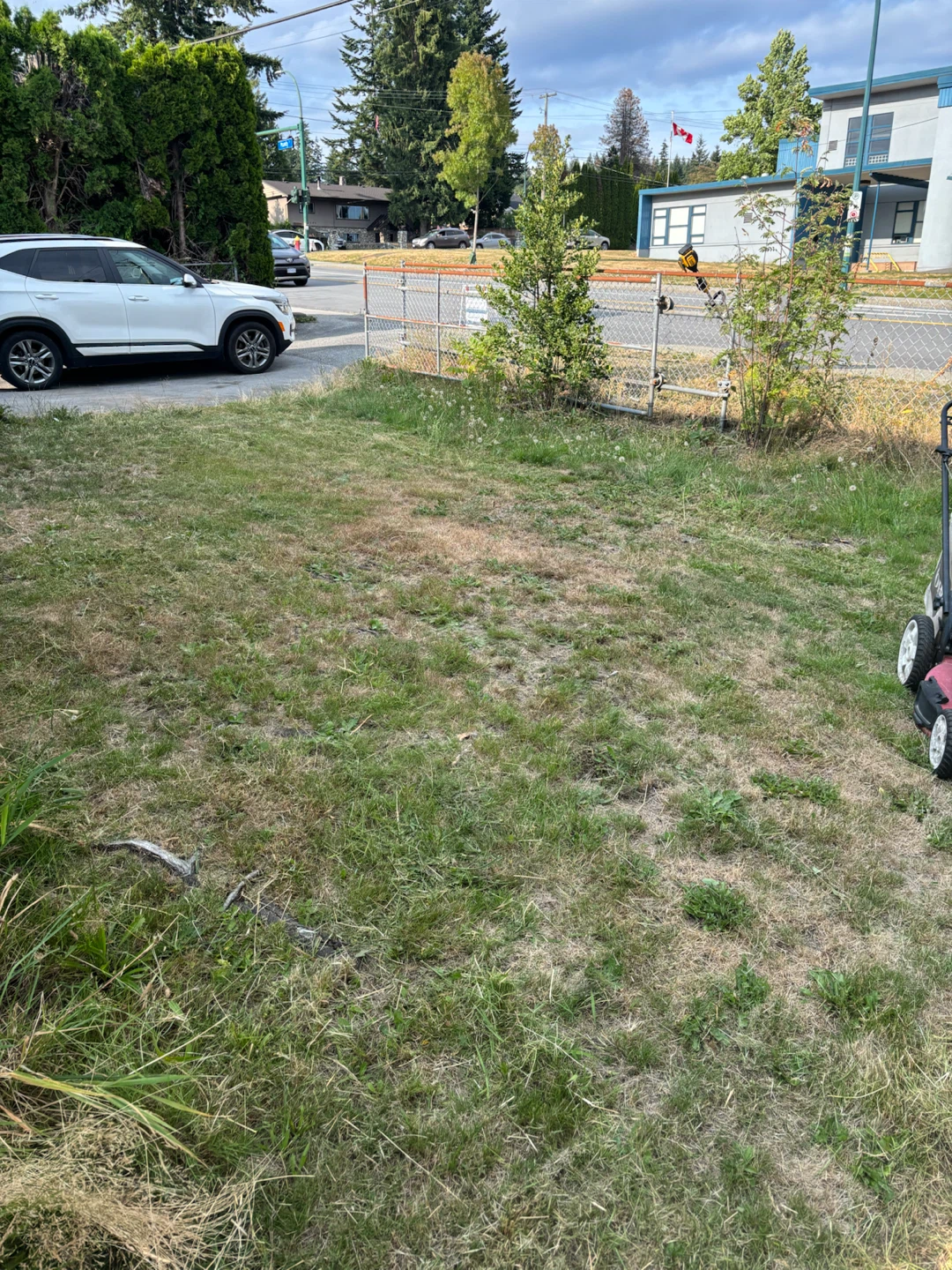 Lawn mowing and weed whacking