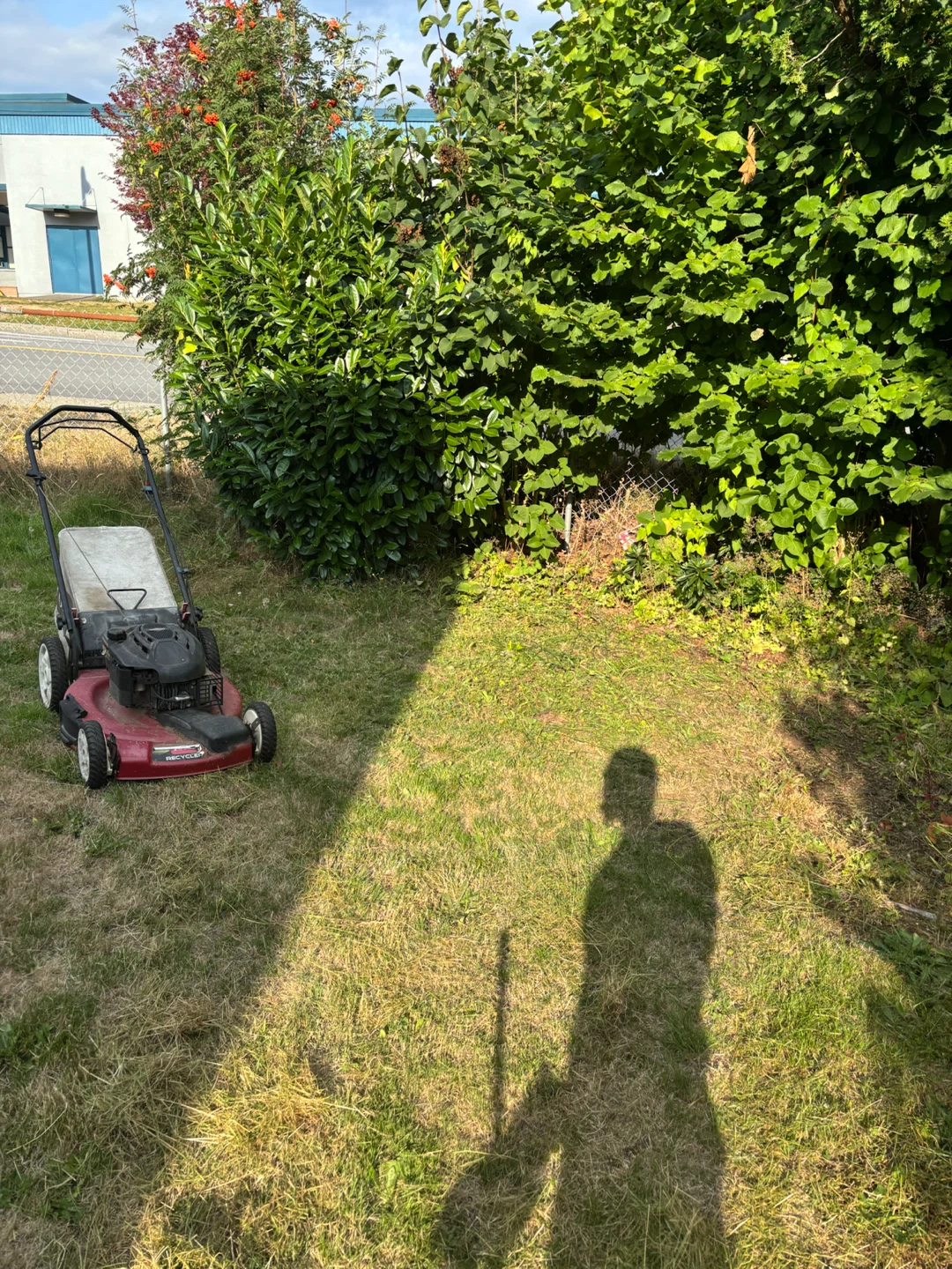 Lawn mowing and weed whacking - photo 2