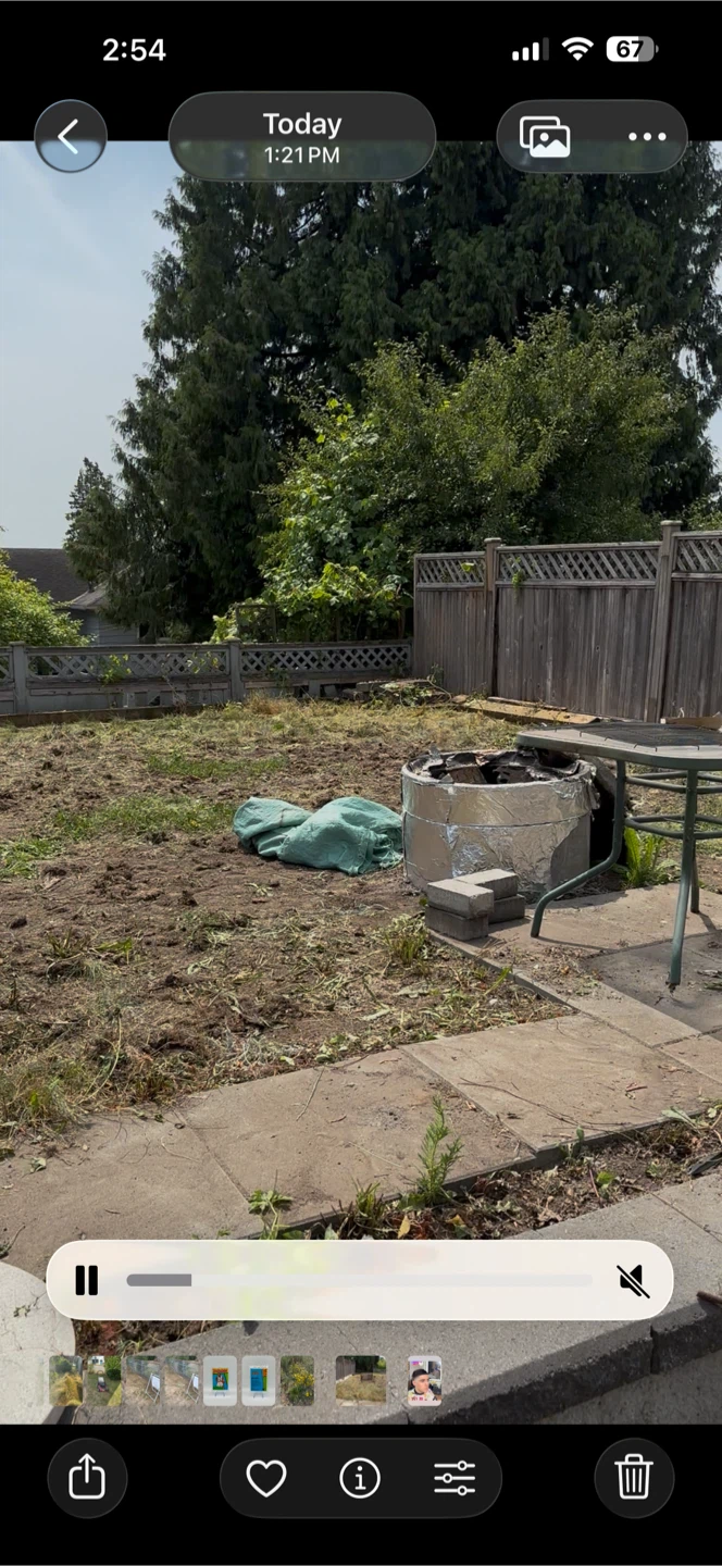 Lawn mowing and weed whacking - photo 3