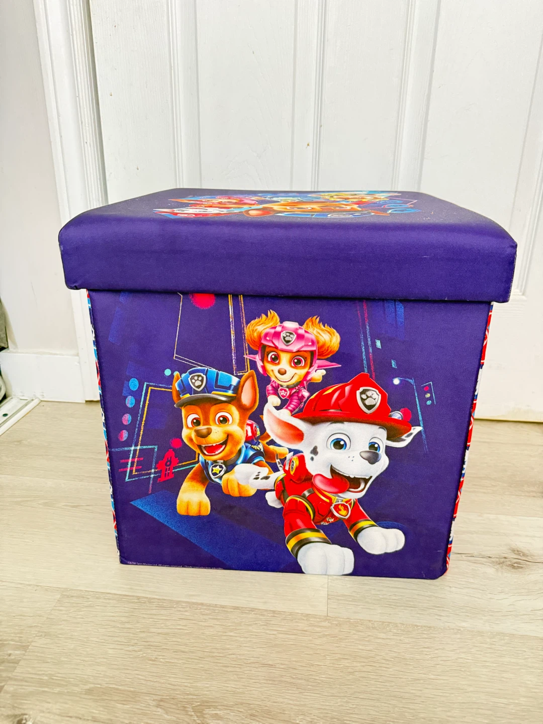 Paw Patrol Storage Chair
