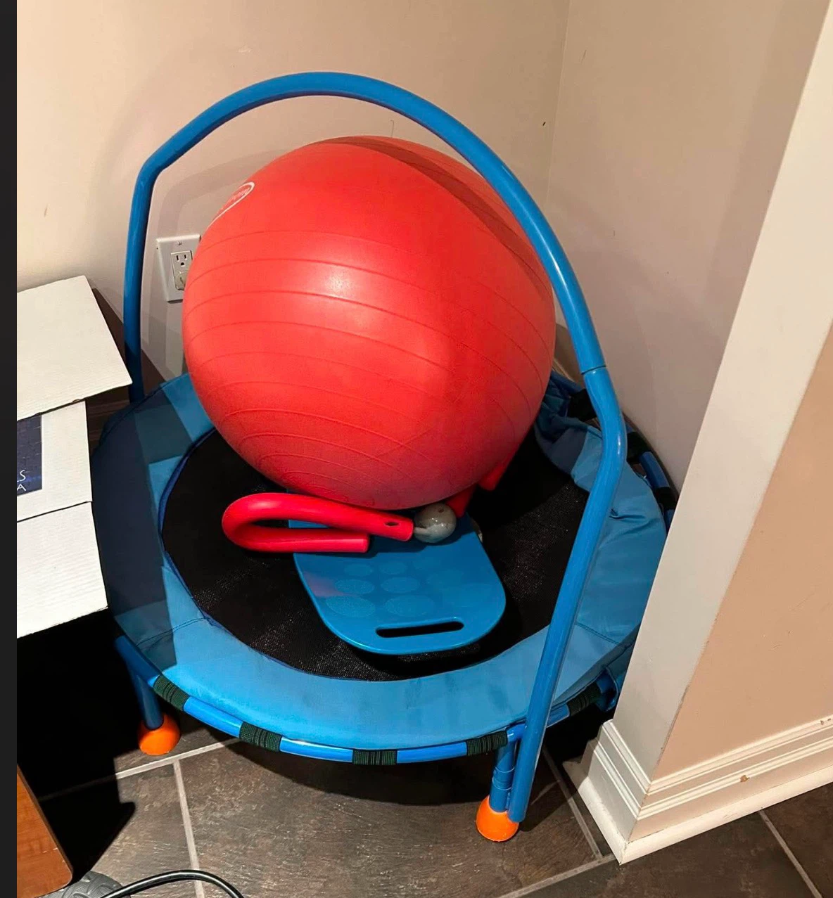 Kids Fitness Ball and Rebounder Set