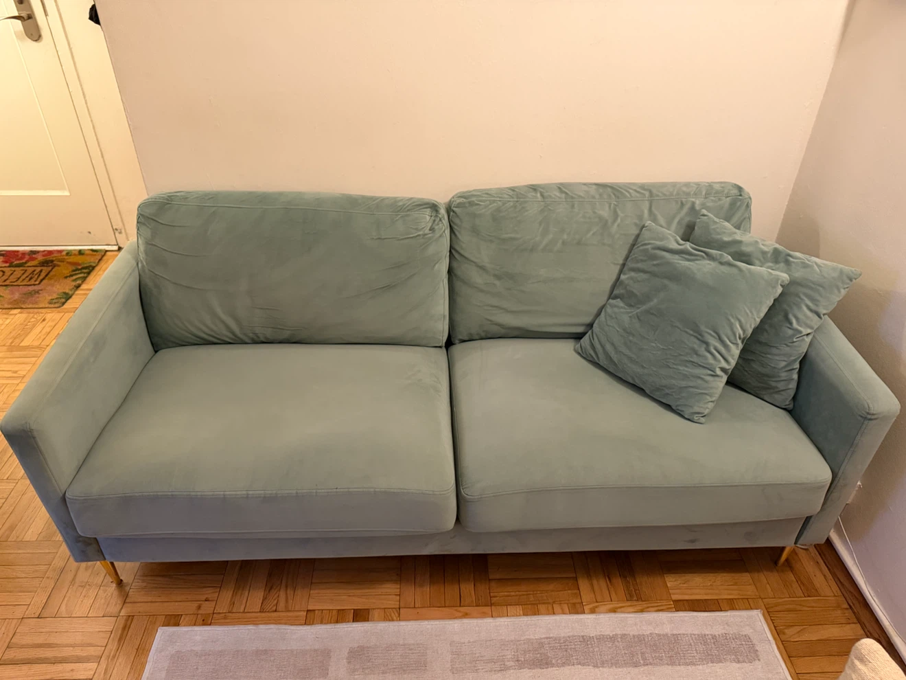 Branded Light Green Velvet Sofa with Gold Legs