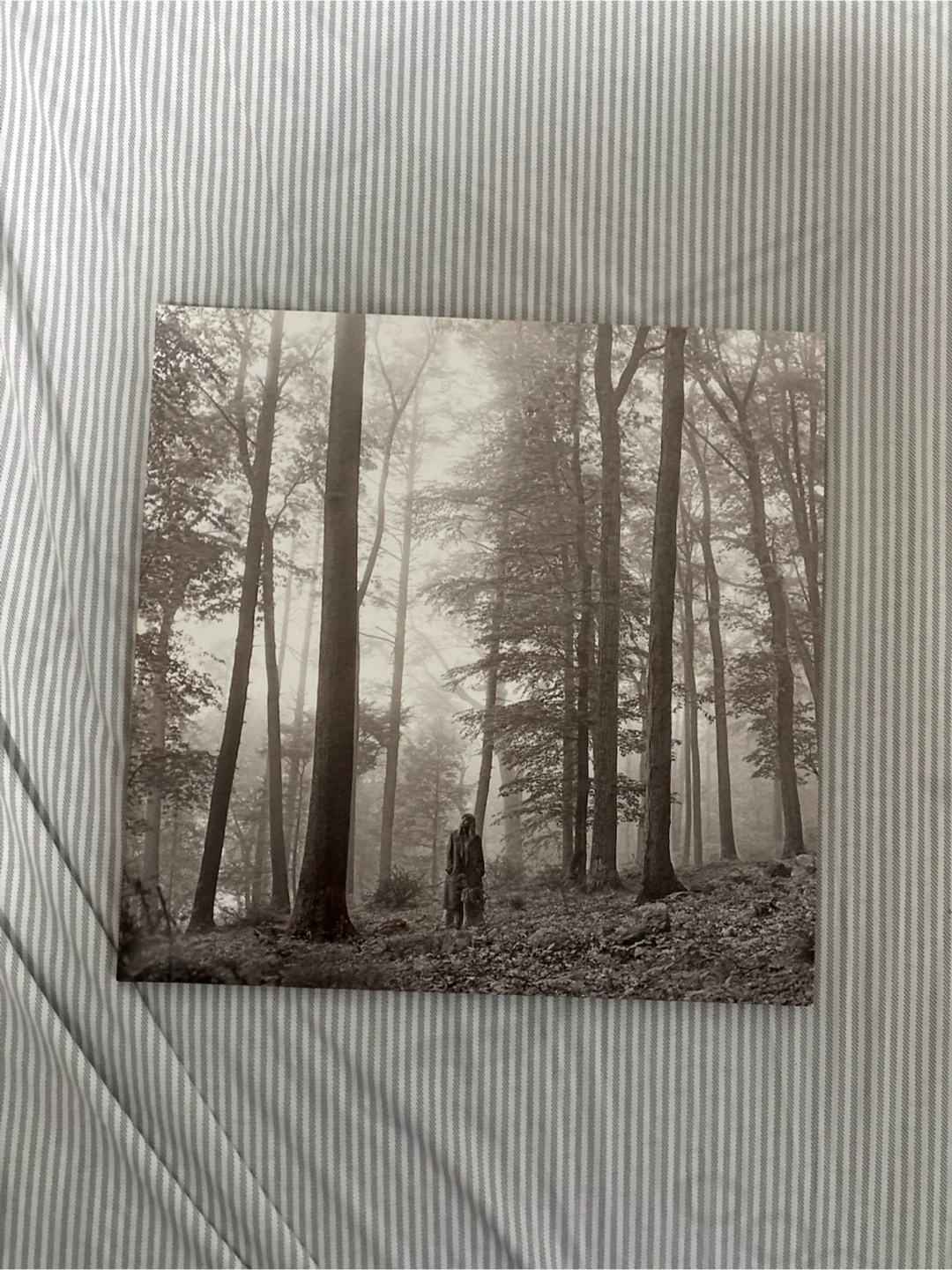 Taylor Swift Vinyl - Folklore - photo 2