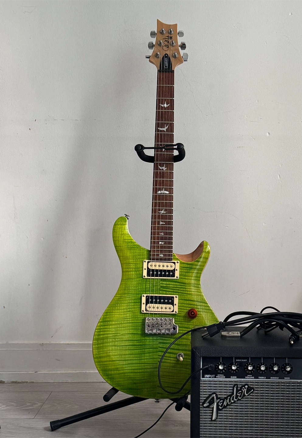 PRS SE Custom 24 08 Electric Guitar - Green