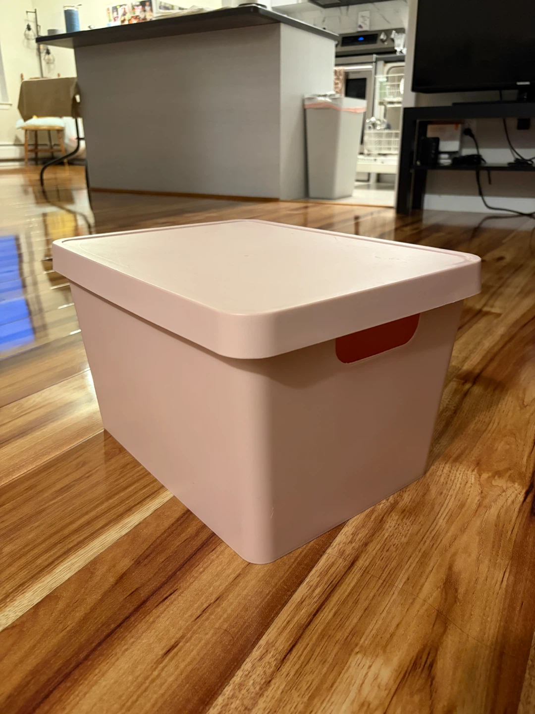 2 Pink Storage Bin with Lid