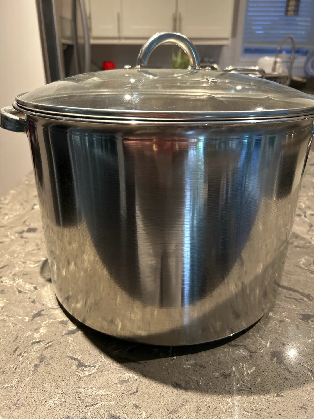 Stainless Steel Stock Pot with Rack and Lid