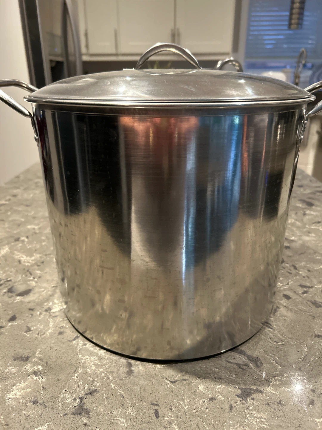 Large Stainless Steel Stock Pot with Rack