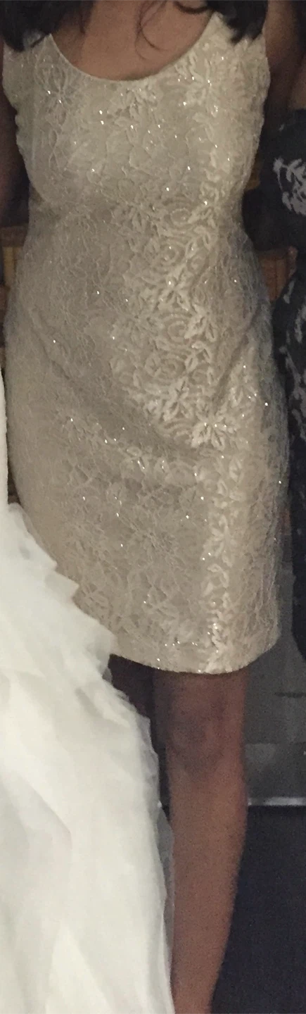 Women's Champagne Lace Dress - photo 3