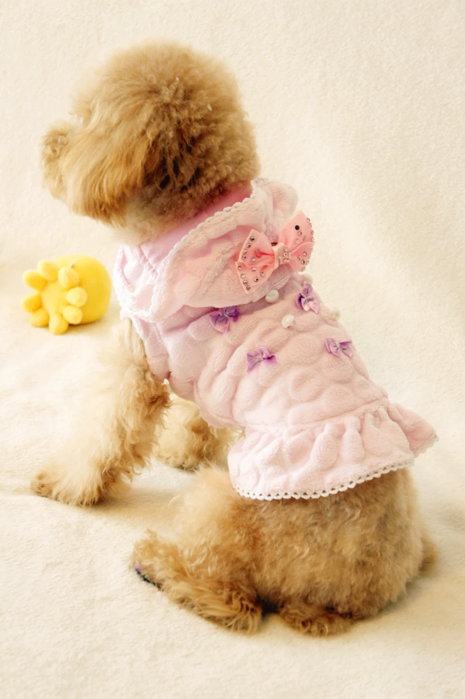 Pet Hoodie - photo 2