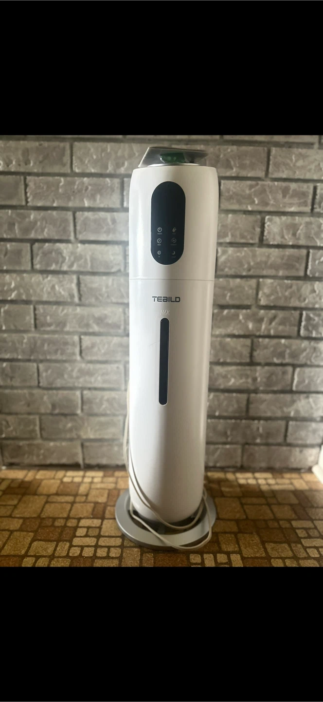 TEBILD White Air Purifier