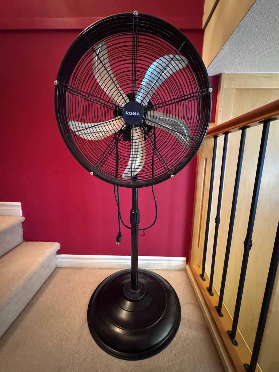 Rona 20-in Oscillating Pedestal Fan
