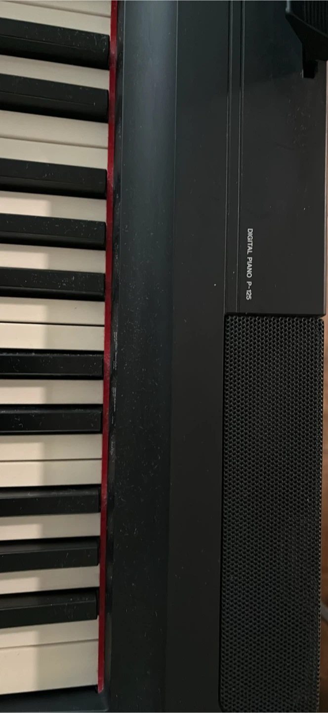 Yamaha P-125 Digital Piano - photo 2