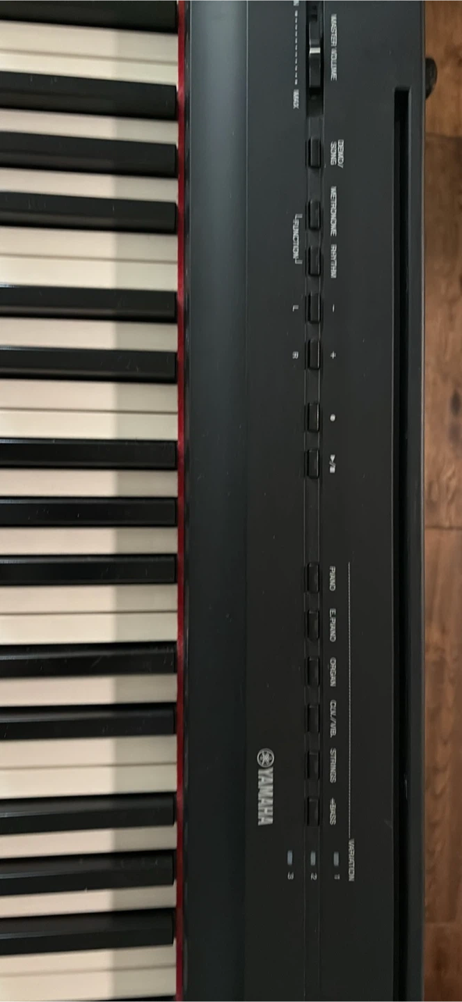 Yamaha P-125 Digital Piano - photo 5