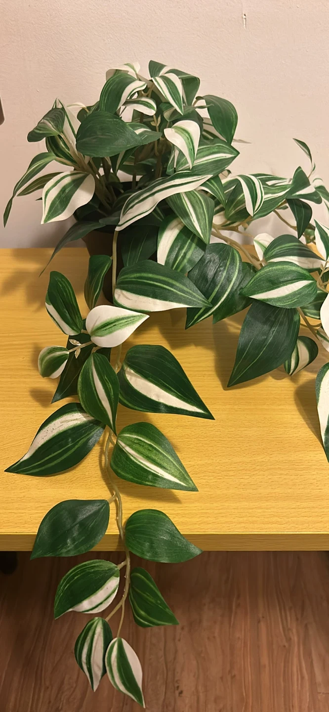 Artificial Wandering Jew Plant