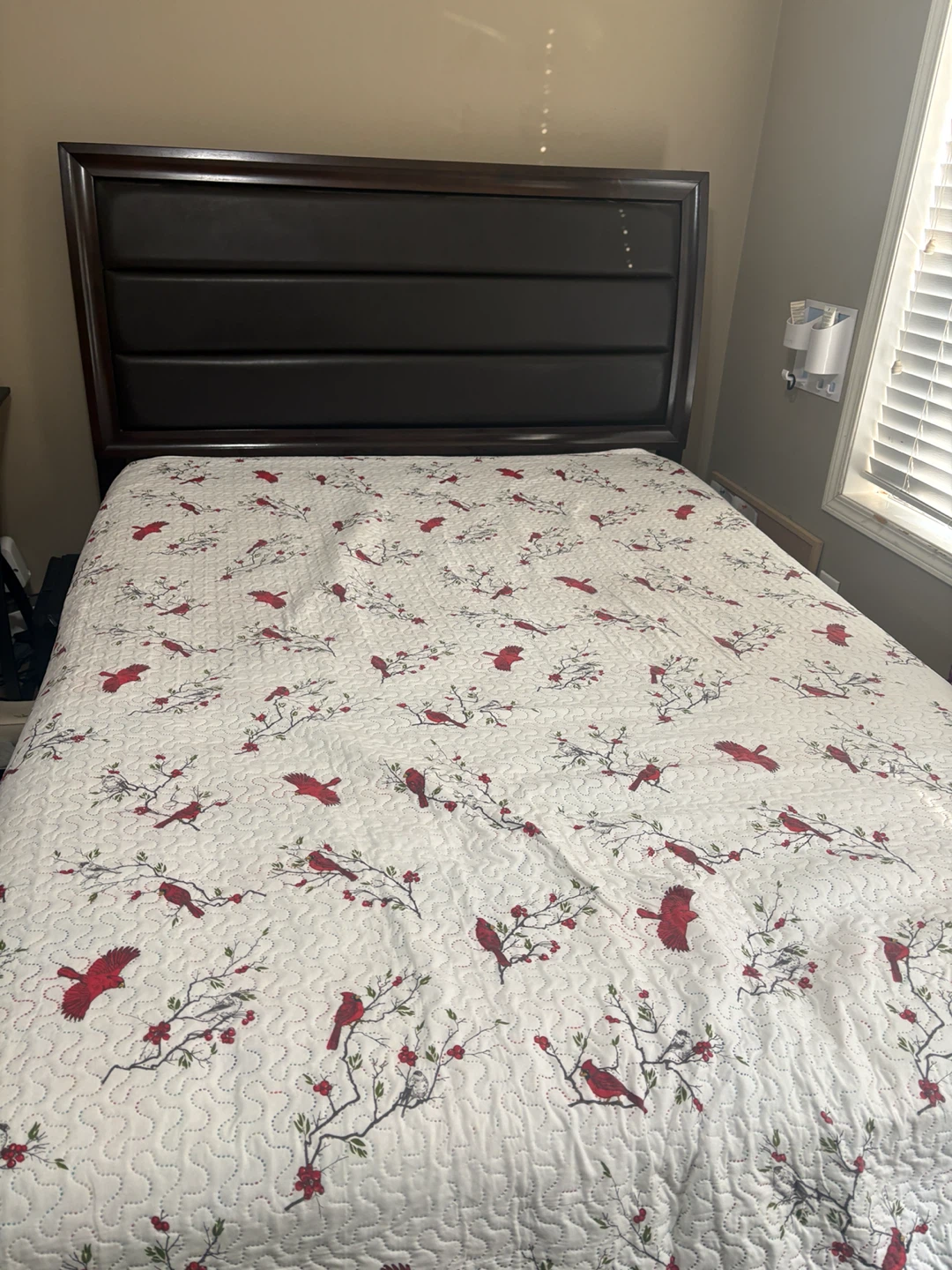 Queen Bed with Mattress