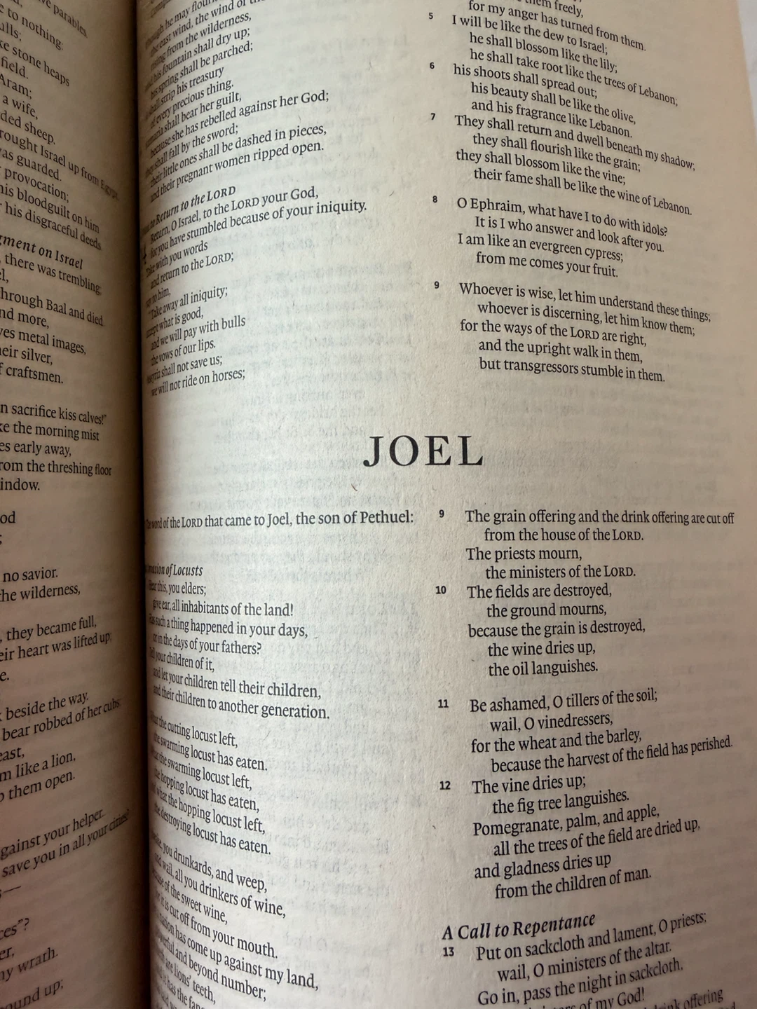 Bible - photo 3