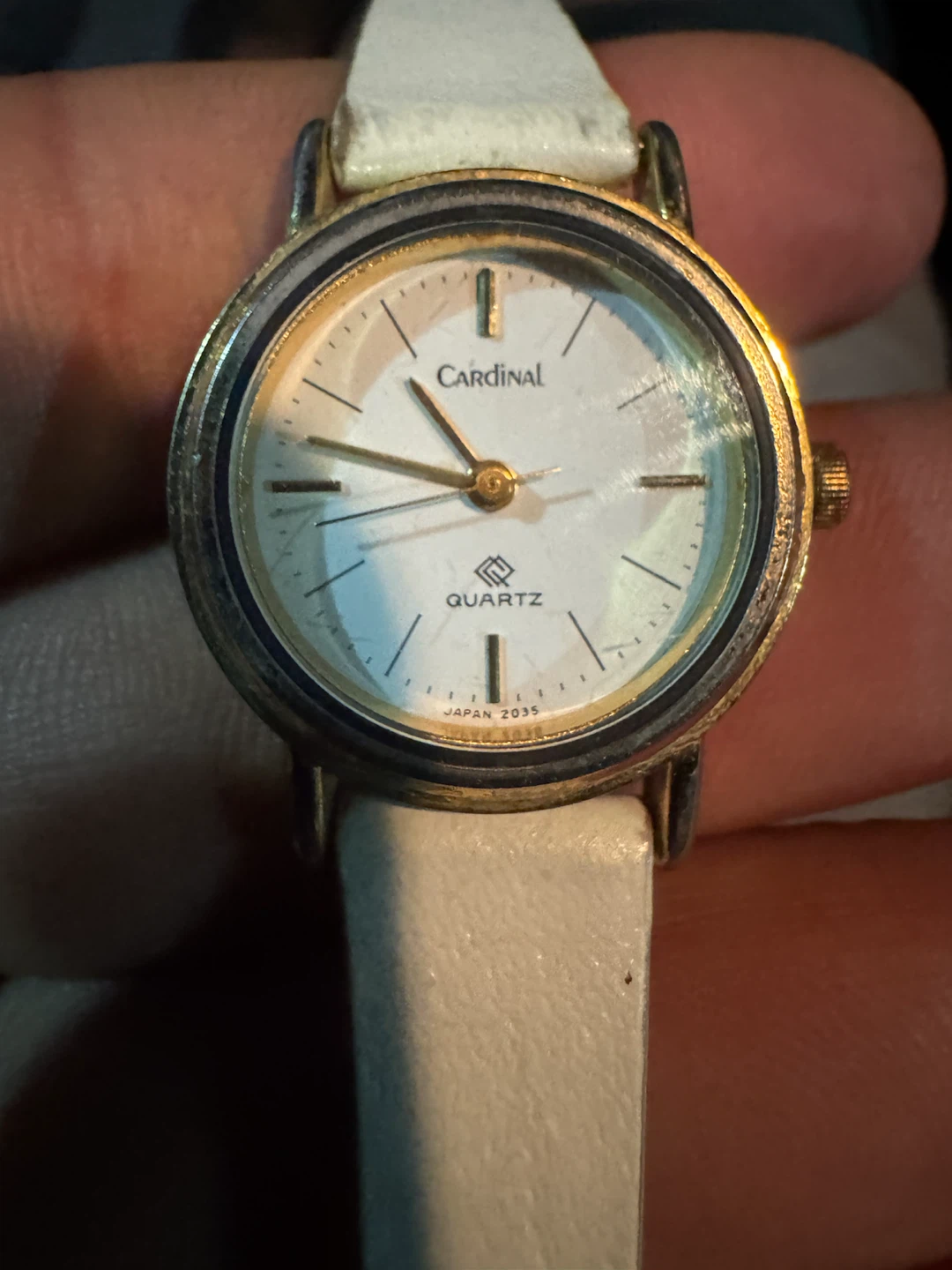 Cardinal Quartz Women's Watch
